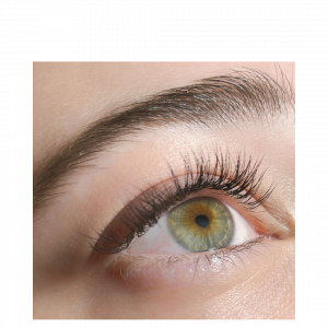 Classic Eyelash Extension Course- (click this link for more info)
